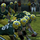 Illustration for article titled More Madden 10 Screens Than Youll Know What To Do With